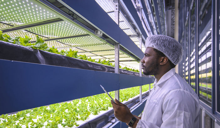 Hydroponics